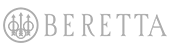 Logo-Grey-Beretta Adwords30